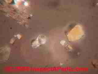 Paint lab Photograph of sample of failed paint